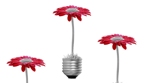 energias renovables cv